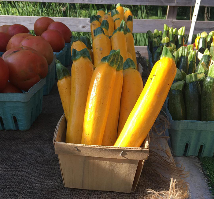 Chicago's North Shore CVB Glenview Farmers Market